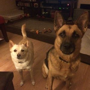 Meet your Posher, Kim